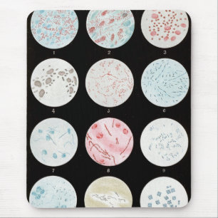 Bacteria Mouse Pad