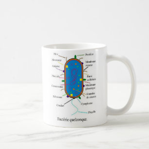 Bacteria Mug
