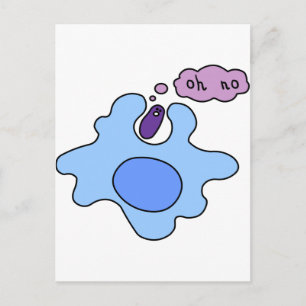 Bacteria Phagocytosis Postcard