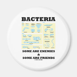 Bacteria Some Are Enemies & Some Are Friends Magnet