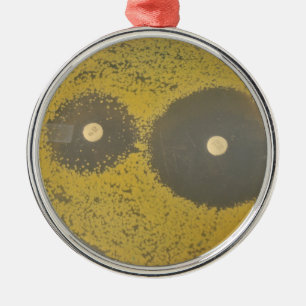 Bacterial antibiotic susceptibility metal tree decoration