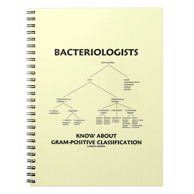 Bacteriologists Know Gram-Positive Classification Notebook (Front)