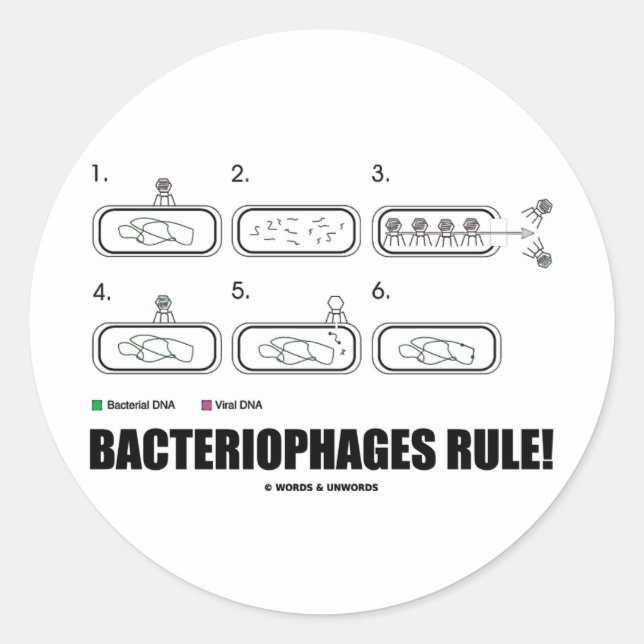 Bacteriophages Rule! (Bacteria Virus DNA) Classic Round Sticker (Front)