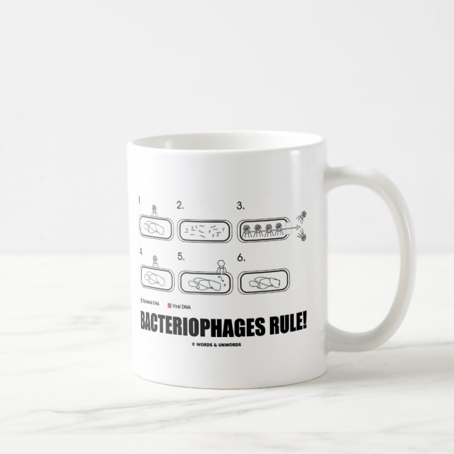 Bacteriophages Rule! (Bacteria Virus DNA) Coffee Mug (Right)