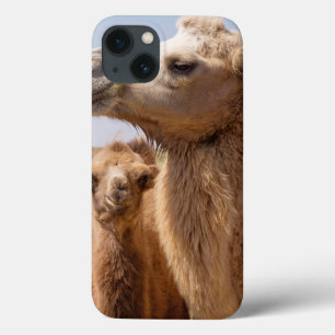 Bactrian Camel Portrait iPhone 13 Case