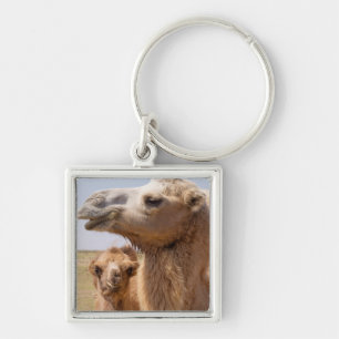 Bactrian Camel Portrait Key Ring
