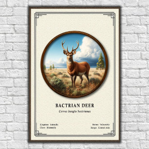 Bactrian Deer Zoology Series Poster