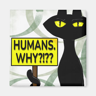 Bad Boogie Fanny Magnet - Humans. Why? sign