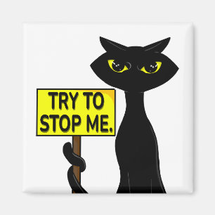 Bad Boogie Fanny Magnet - Try To Stop Me sign