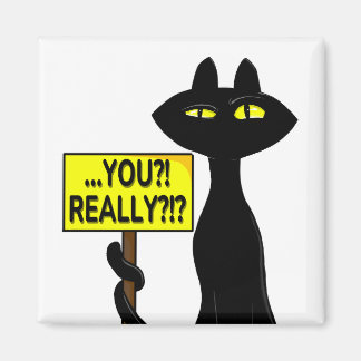 Bad Boogie Fanny Magnet - You?! Really?! sign