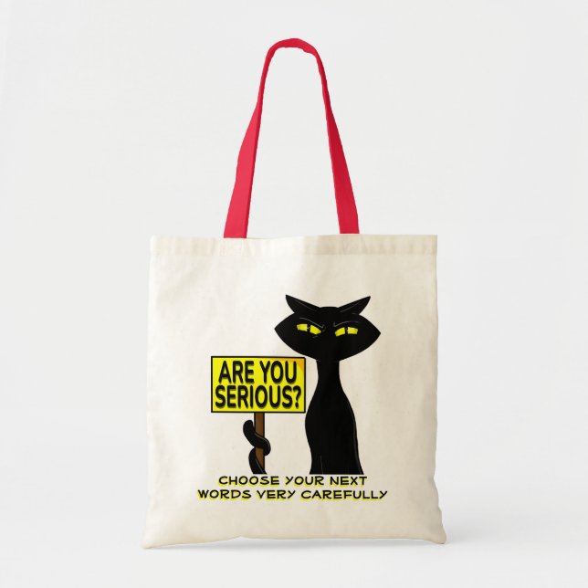 Bad Boogie Funny Tote Bag - Are you serius? (Front)