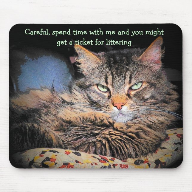 Bad Cat pick up lines #3 Mouse Pad (Front)