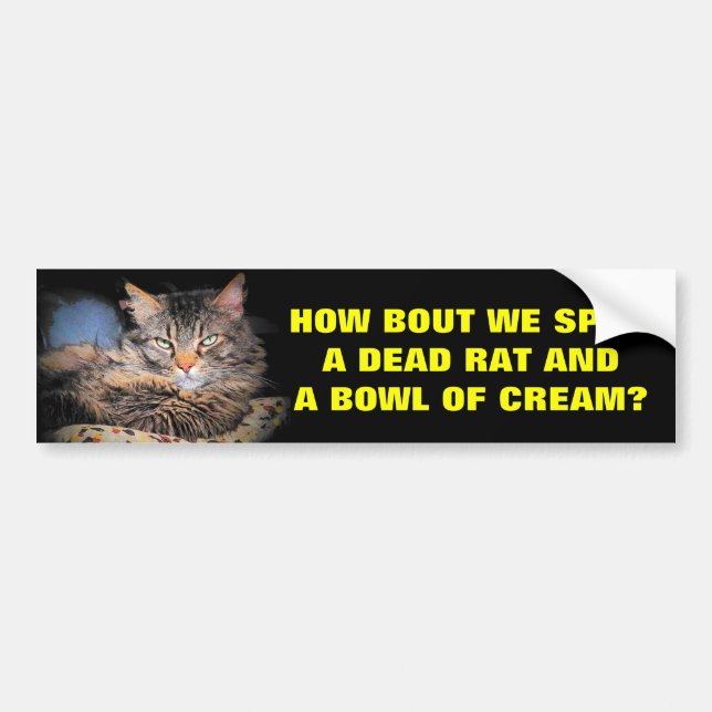 Bad Cat Pick Up Lines Dead Rat and Cream Bumper Sticker (Front)