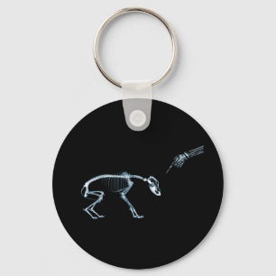 Bad Dog Xray Skeleton Black Blue Key Ring