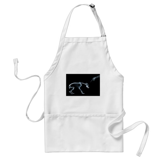 Bad Dog Xray Skeleton Black Blue Standard Apron (Front)