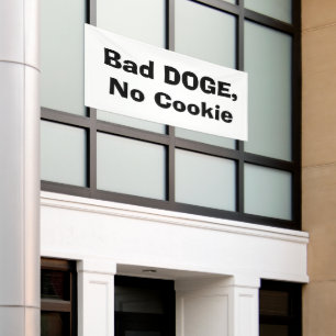 Bad DOGE, No Cookie Banner