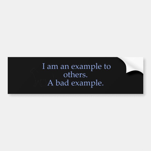 Bad Example Bumper Sticker (Front)