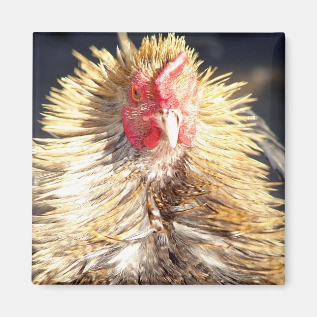 Bad Feather Day Magnet (Front)