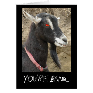 Bad Goat Love You