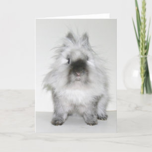 Bad hair day bunny card