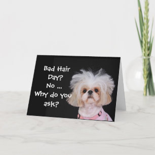 Bad Hair Day? Card