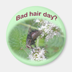 Bad Hair Day Fly Coordinating Items Magnet