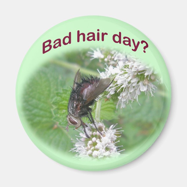 Bad Hair Day Fly Coordinating Items Magnet (Front)