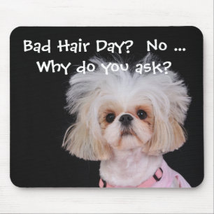 Bad Hair Day? Mouse Pad