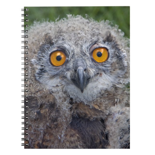 Bad Hair Day Notebook (Front)