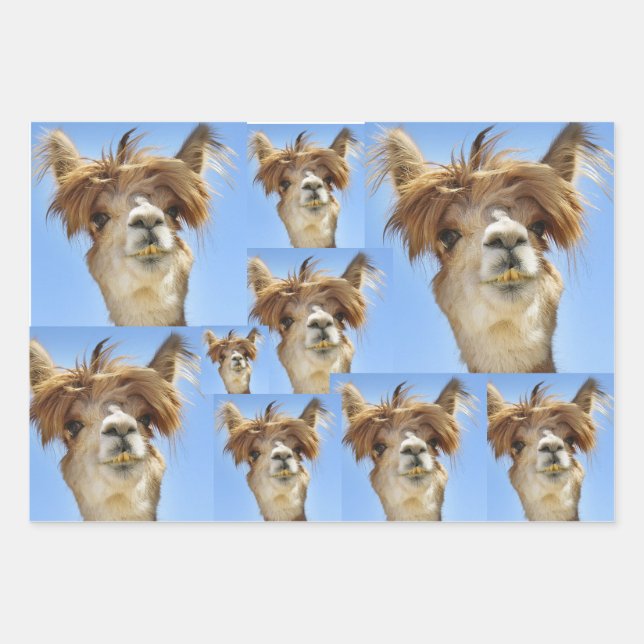 Bad Hair Day  Wrapping Paper Sheet (Front)