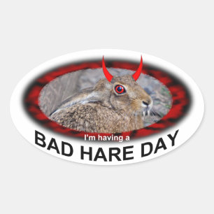 Bad Hare Day Sticker
