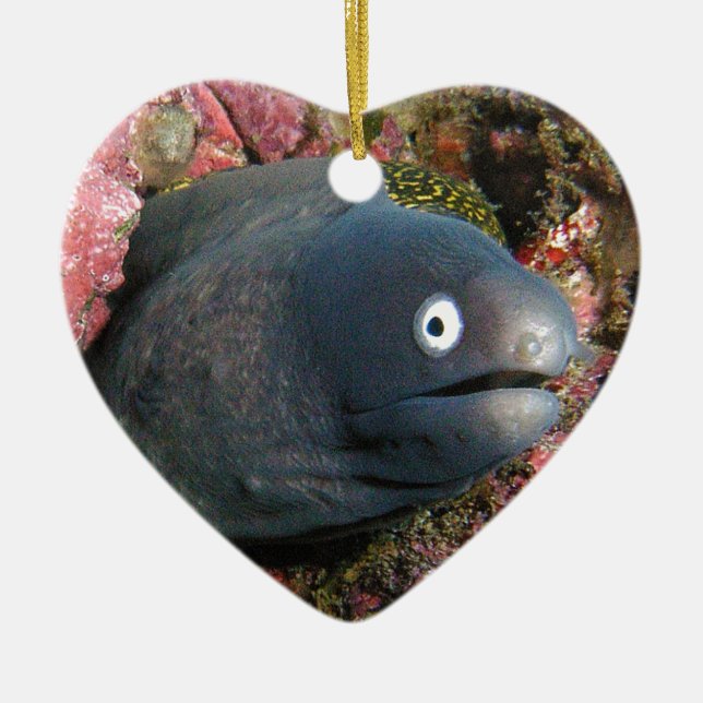 Bad Joke Eel Ceramic Tree Decoration (Front)