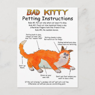 Bad Kitty Petting instructions Postcard