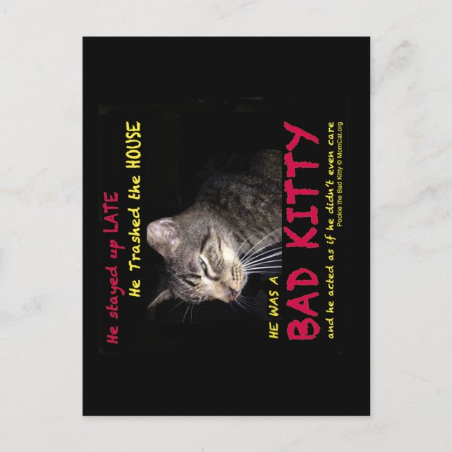 Bad Kitty Postcards (Front)