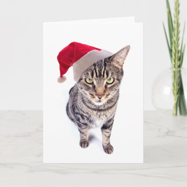 Bad Santa Cat Christmas Card (Front)