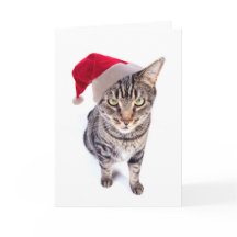 Bad Santa Cat Christmas Card