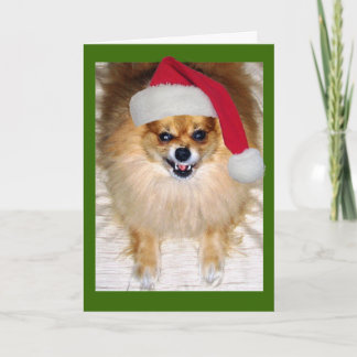 Bad Santa Christmas Card