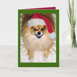 Bad Santa Christmas Card