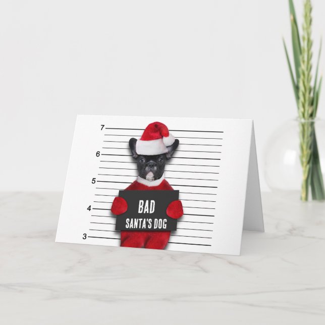 Bad Santa's Dog Mugshot Funny Christmas Card (Front)