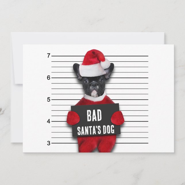 Bad Santa's Dog Mugshot Funny Christmas Holiday Card (Front)