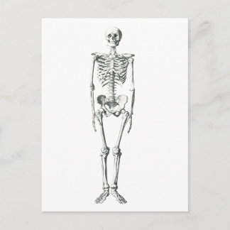 Bad to the bone postcard