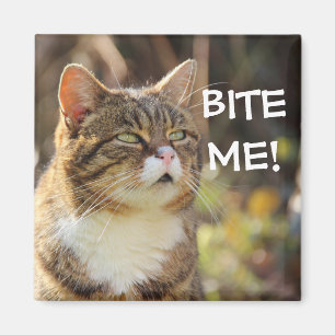 Badass Cats - "BITE ME!" Magnet