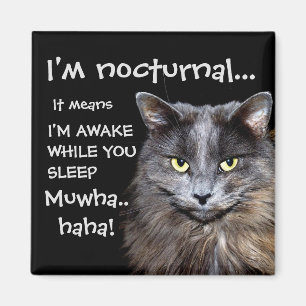 Badass Cats - "I'm nocturnal.." Magnet