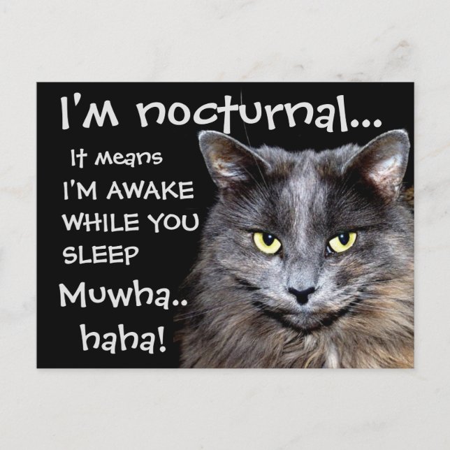 Badass Cats Postcard (Front)