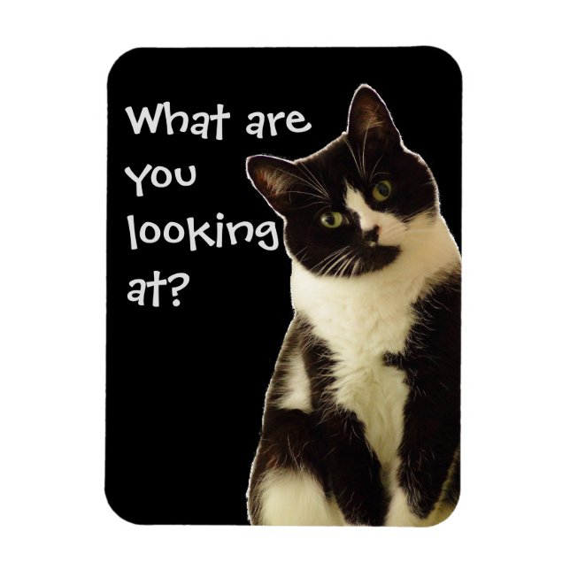 Badass Cats "What are you looking at!"  Magnet (Vertical)