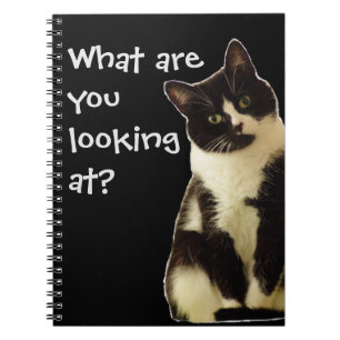 Badass Cats " What are you looking at! " Notebook