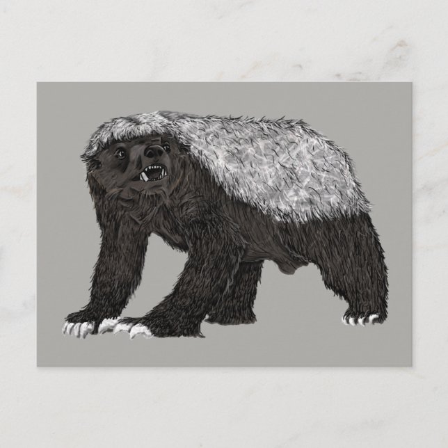 Badass Honey Badger Fearless Attitude Animal Art Postcard (Front)