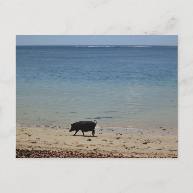 Badetag Postcard (Front)