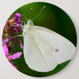 Badge with butterfly