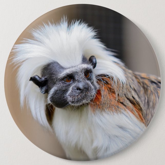 Badge with Cotton-top Tamarin monkey (Front)